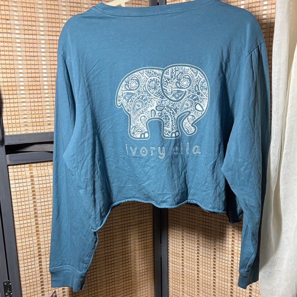 Ivory Ella Teal Cropped Graphic Long sleeve Tee XXL